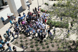 Aerial view of starting line